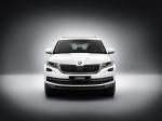 Skoda Kodiaq 2016 года (WW)